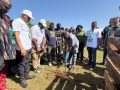 2026 TREE FOR LIFE REAFFORESTATION INITIATIVE IN DAMBA